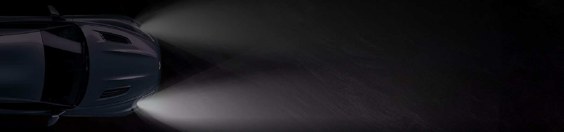 Paint Protection Film